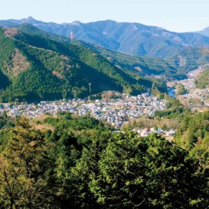 【首都圏日帰り山さんぽ】青梅丘陵～城跡が残る青梅の快適ハイキングコース