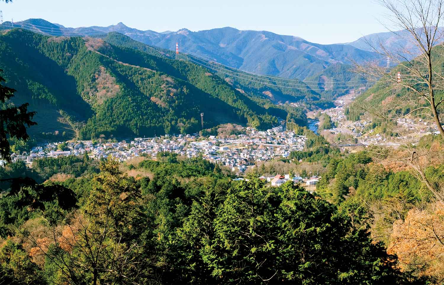 【首都圏日帰り山さんぽ50】青梅丘陵_2