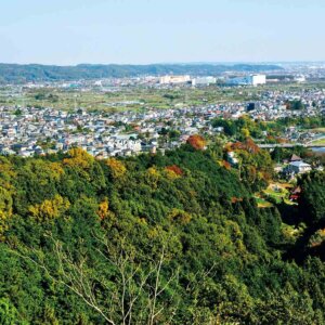 【首都圏日帰り山さんぽ】弁天山から城山～秋川近くの里山から展望の低山を辿る