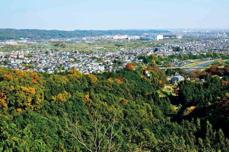 弁天山山頂そばの展望所から。天候によってはスカイツリーも見えるとか。