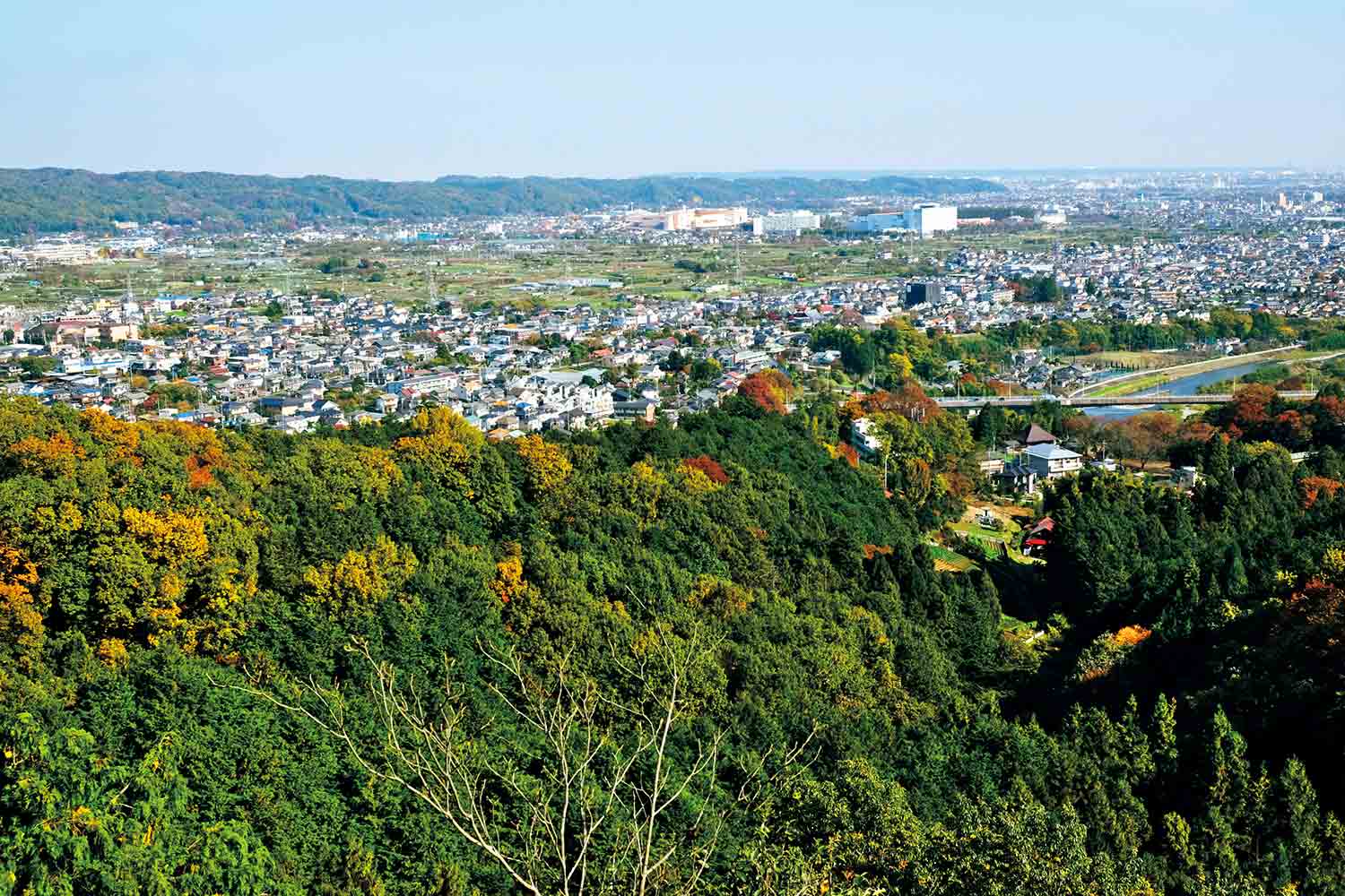 【首都圏日帰り山さんぽ50】弁天山から城山_2