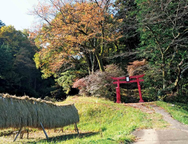 弁天山の登山口になる赤い鳥居。左手には棚田といわれている田んぼ。ふつうの田んぼだ。
