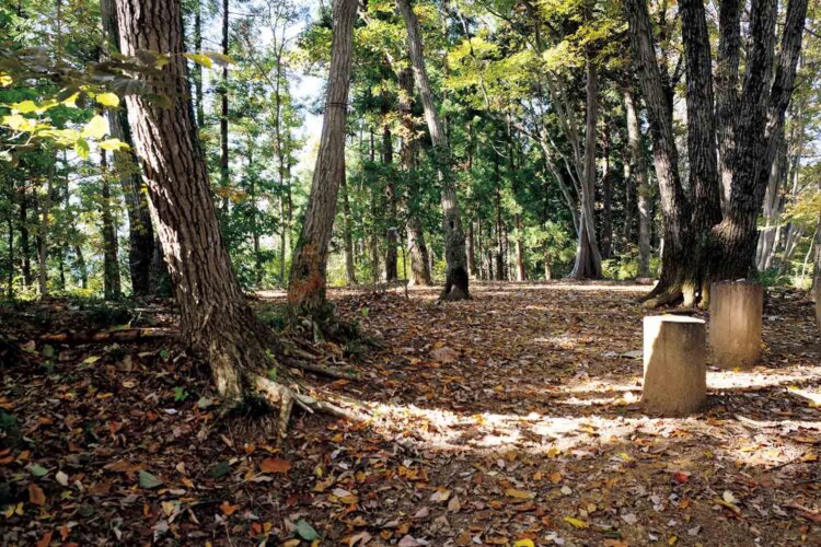 尾根上にある網代城があった城山。ここが本丸跡になる。