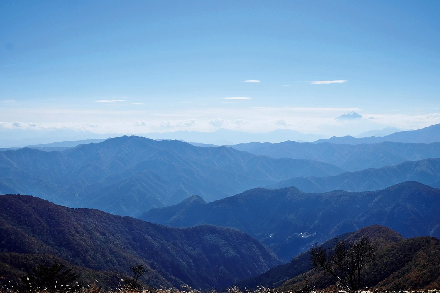 【首都圏日帰り山さんぽ50】水根沢林道から鷹ノ巣山_2