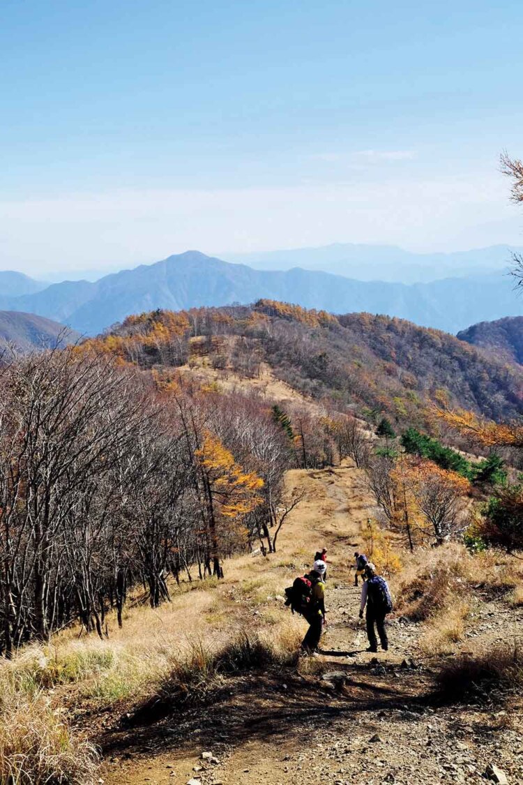 石尾根は尾根上が防火帯になっている。眺めもよく歩きやすい。
