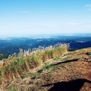 【首都圏日帰り山さんぽ】棒ノ折山から岩茸石山～秘境ムードの峡谷を登り、長～い尾根縦走を満喫する