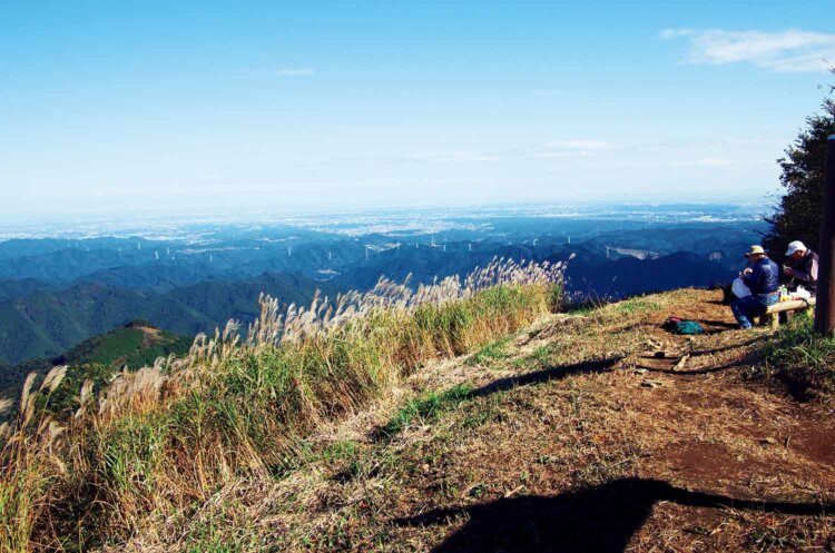 【首都圏日帰り山さんぽ】棒ノ折山から岩茸石山～秘境ムードの峡谷を登り、長～い尾根縦走を満喫する