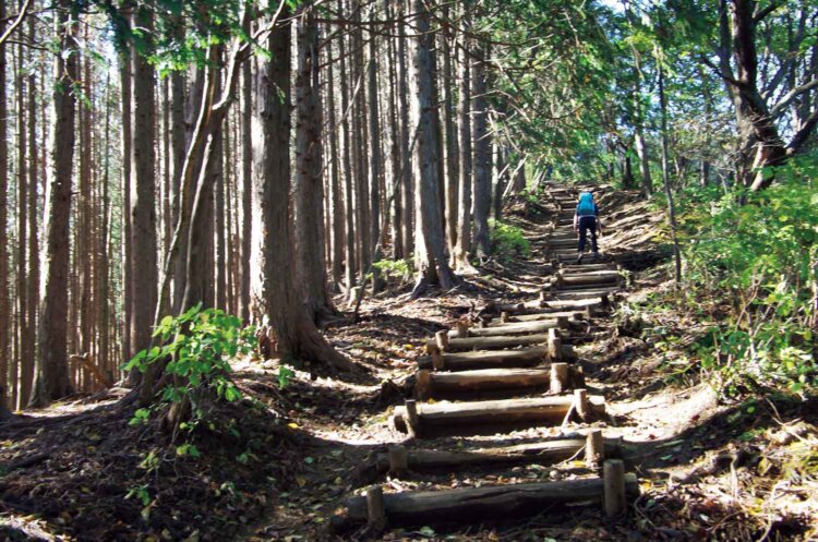 棒ノ折山頂付近は階段が続く。