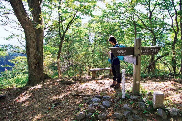 小沢峠へ下りる分岐点でもある黒山山頂。