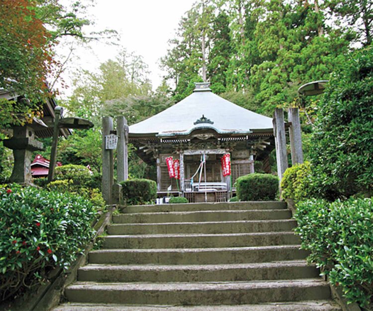【首都圏日帰り山さんぽ50】棒ノ折山から岩茸石山_8
