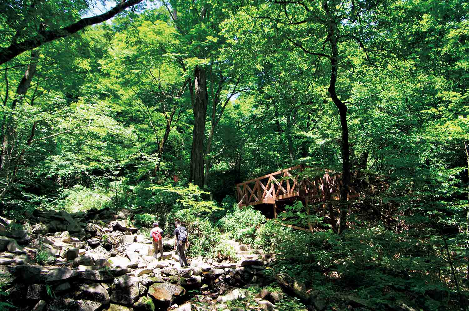 【首都圏日帰り山さんぽ50】三頭山から奥多摩湖_2