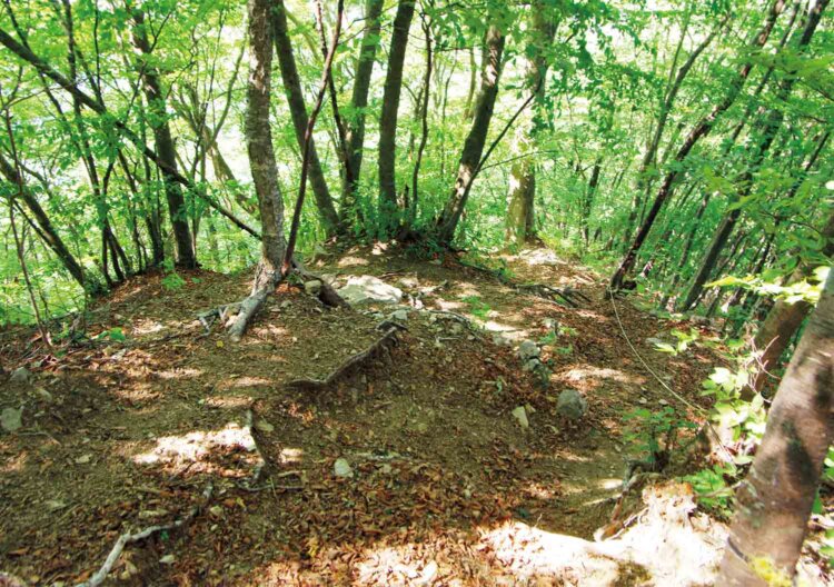 三頭山から奥多摩湖方面に下っていくと急坂がある。ヌカザス山手前のツネ泣坂はとりわけ急だ。