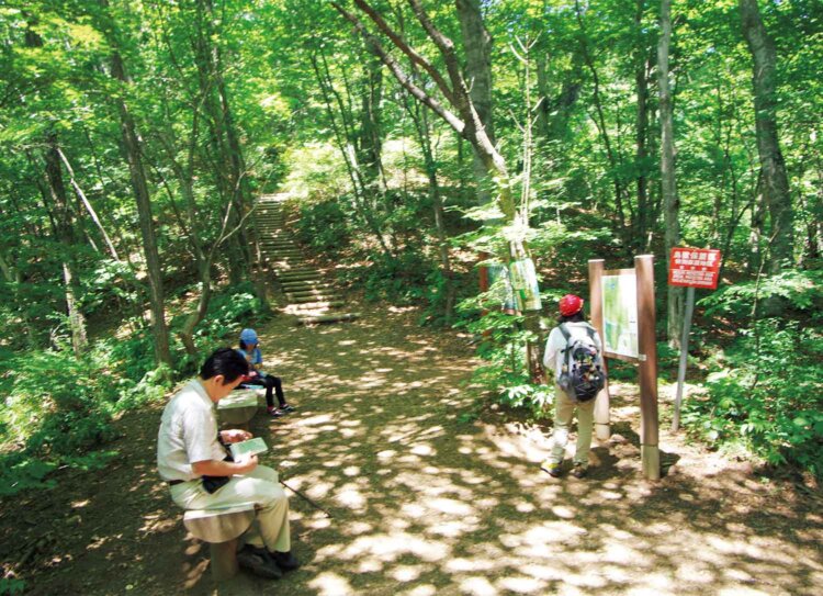 稜線のムシカリ峠。ここまで来れば山頂はもうすぐだ。