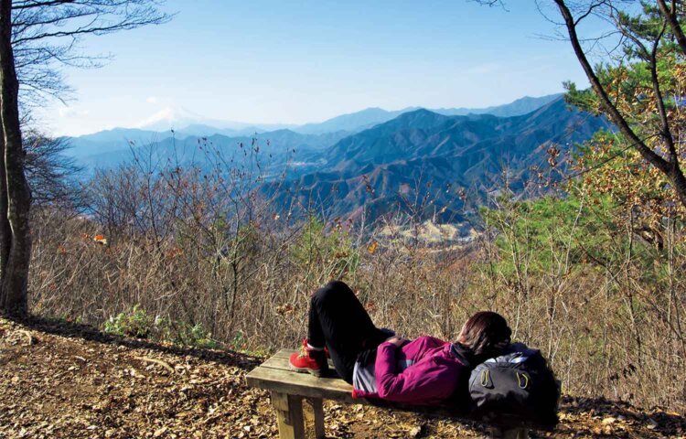 三国山山頂は西から南側が開けており、富士山の展望もいい。