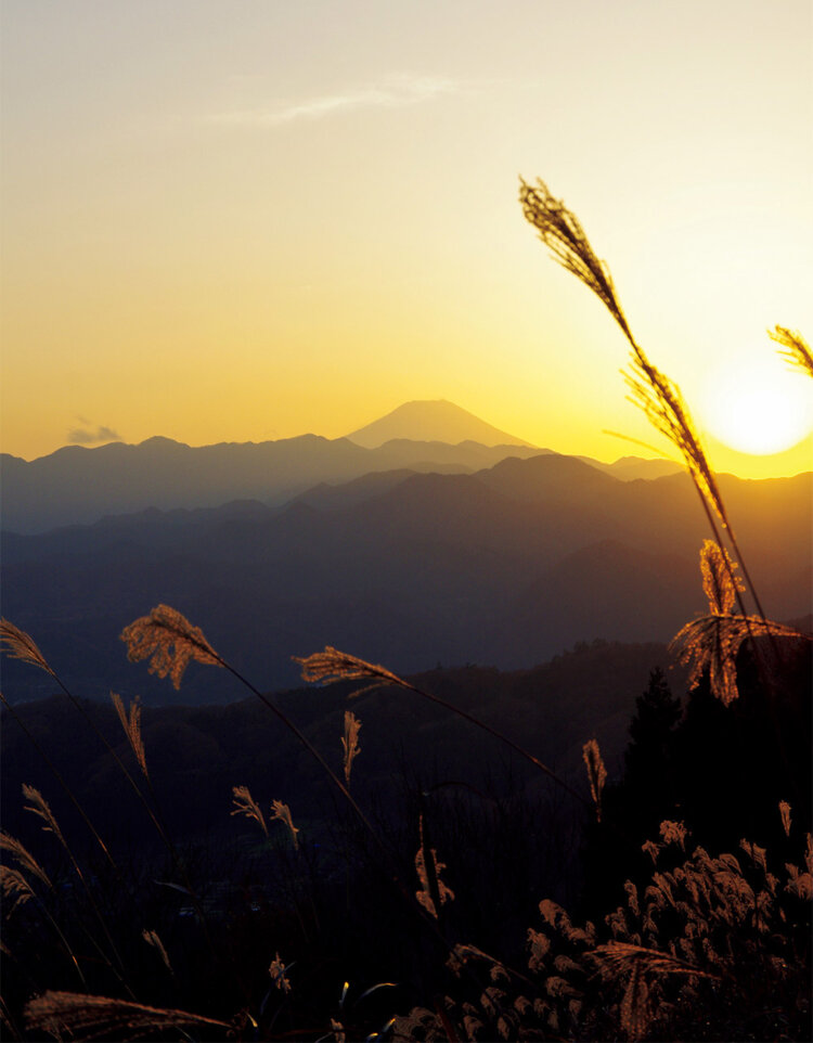 陣馬山から下山し始めた頃にはかなり日が落ち始めていた。