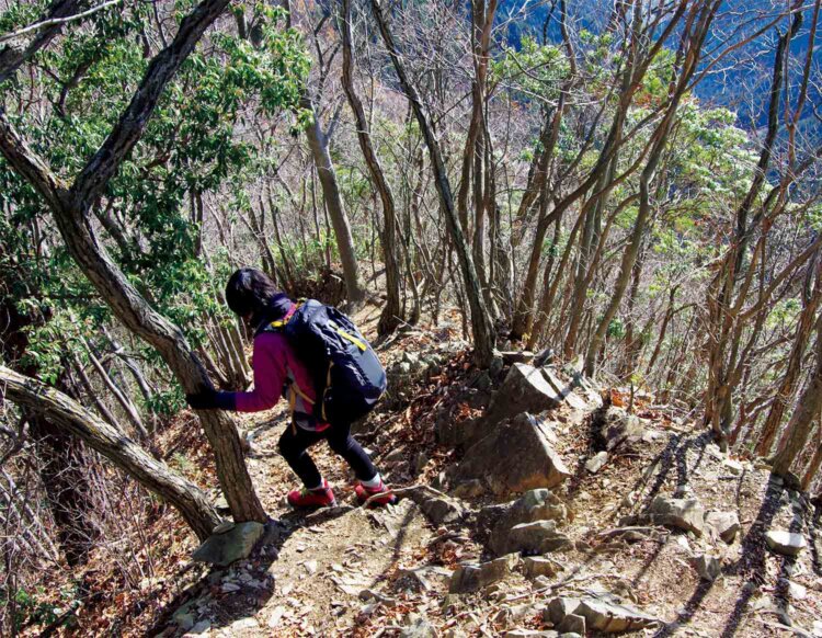 生藤山の先の岩場の下り。岩場はこの付近だけである。