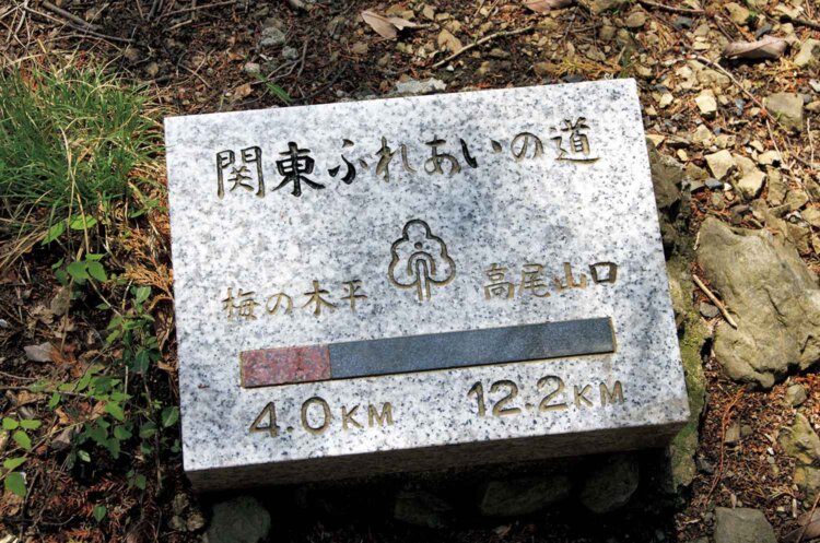 このコースは関東ふれあいの道になっていて、「湖のみち」という16.2kmほどのコース。スタートは梅の木平バス停から始まり、城山から高尾山口駅まで。