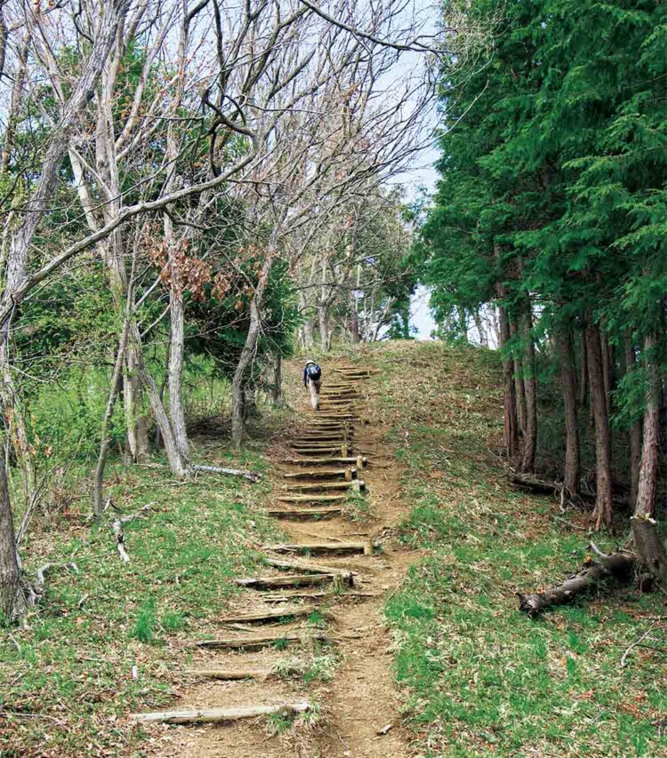 大垂水峠から城山へ向かう途中、尾根に上がる最後の階段。