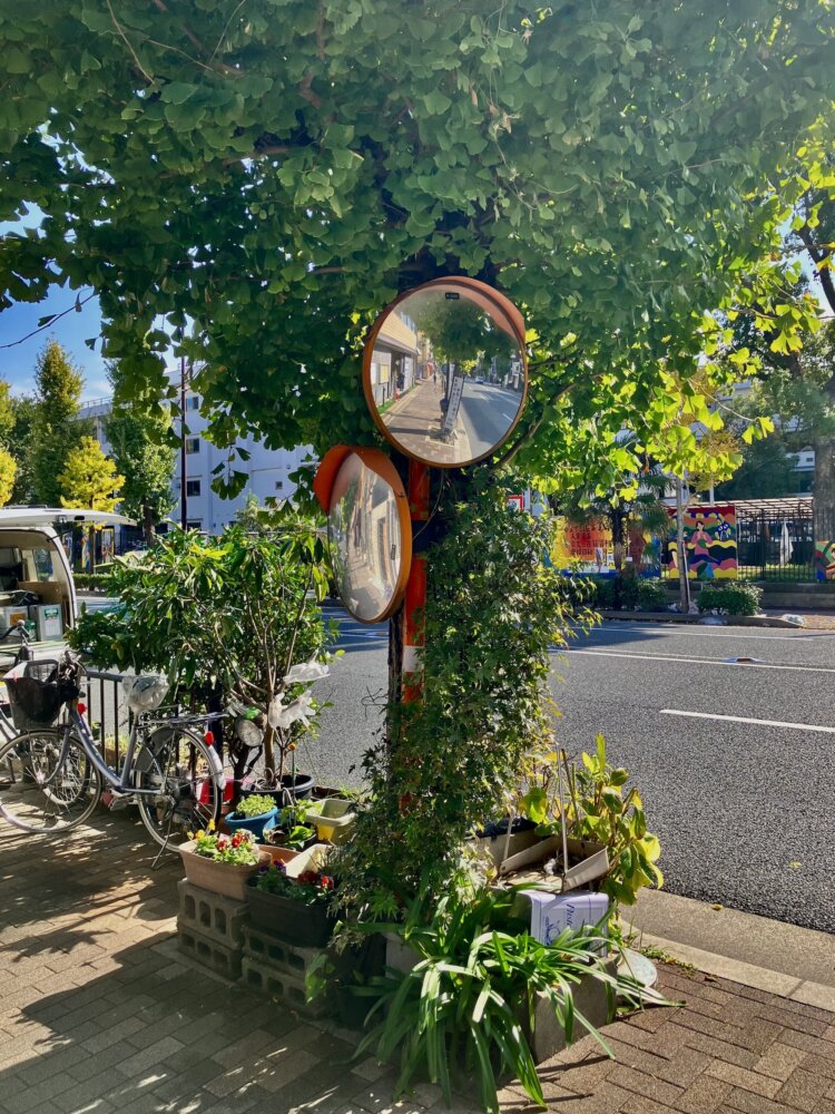 路傍の植物たちとにぎやかにコラボレーションする二つ目のミラー。