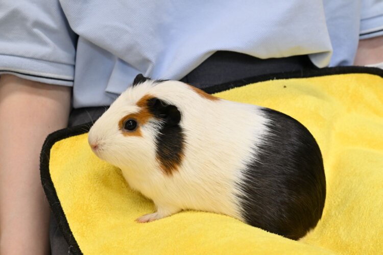 足立区生物園