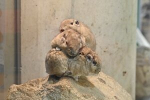 足立区生物園