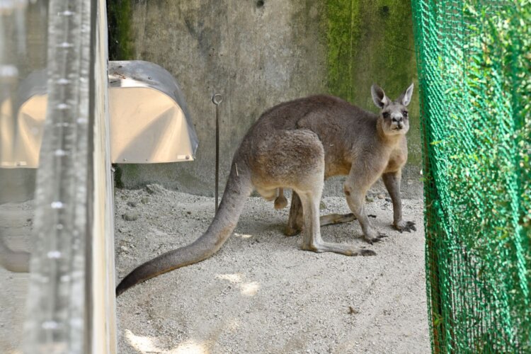 足立区生物園