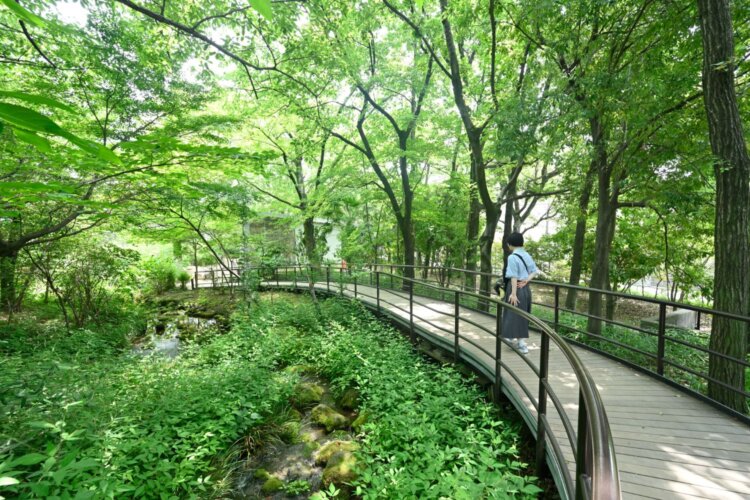 足立区生物園