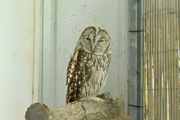 足立区生物園