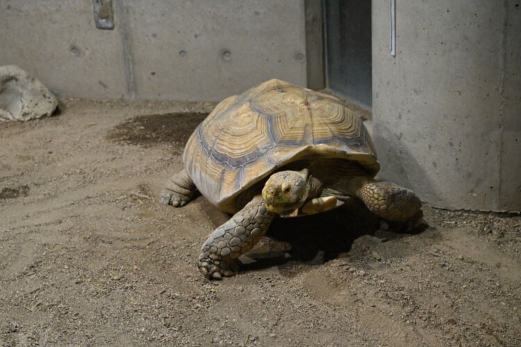足立区生物園