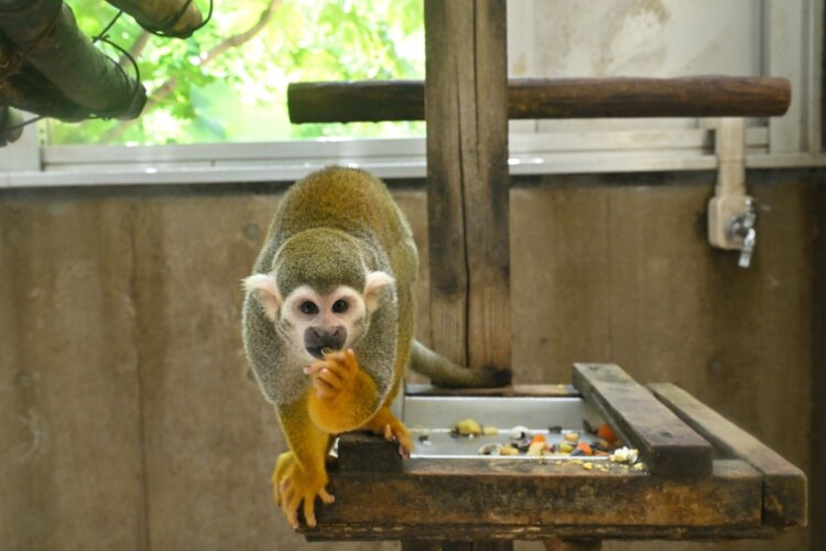 足立区生物園