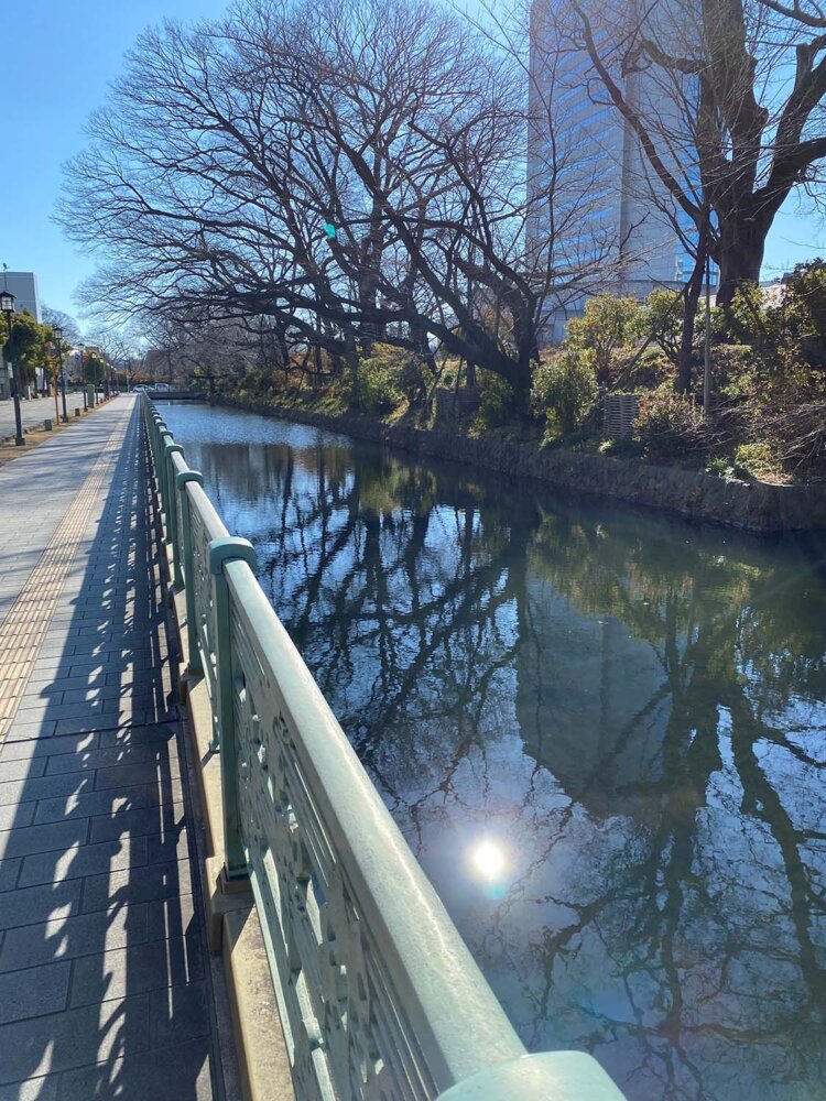 高崎城址公園のお堀端。
