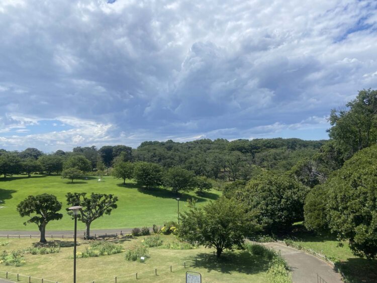 根岸森林公園。
