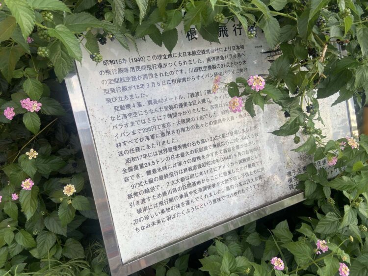 根岸飛行場跡の説明板。植物で覆われてしまっていた。