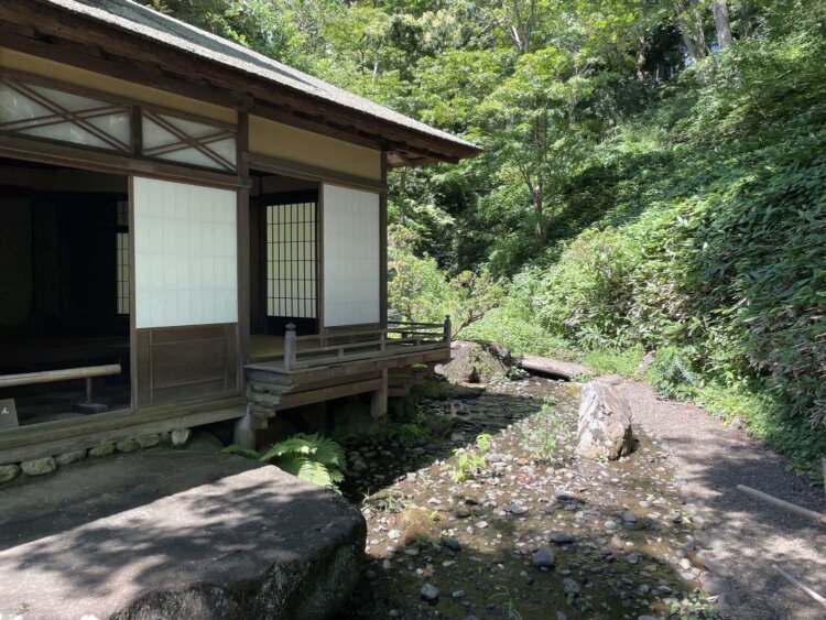 渓流のほとりに立っている。