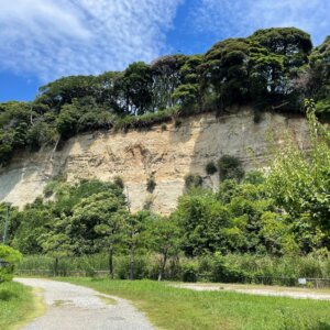 横浜・三渓園～掘割川。旧海岸線沿いに広がる、市電と埋め立ての面影に触れて【「水と歩く」を歩く】