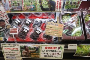 【旅の手帖】ユアーズ・バリュー-仁井令店_4