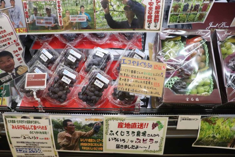 減農薬のブドウや地元果実商品も豊富。