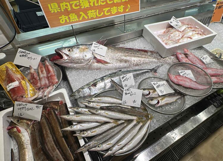 水揚げされたばかりの鮮魚や地魚の刺身が並ぶ魚売り場。