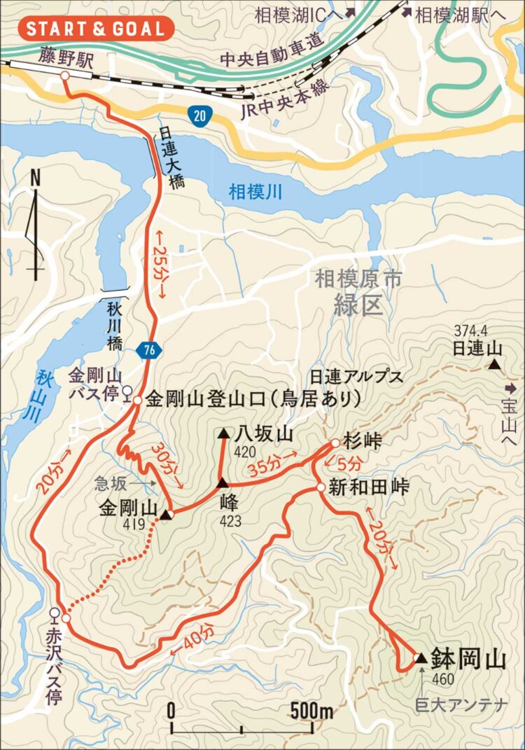 【首都圏日帰り山さんぽ50】日連アルプスから鉢岡山_1