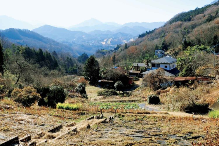 新和田峠付近からの眺望。