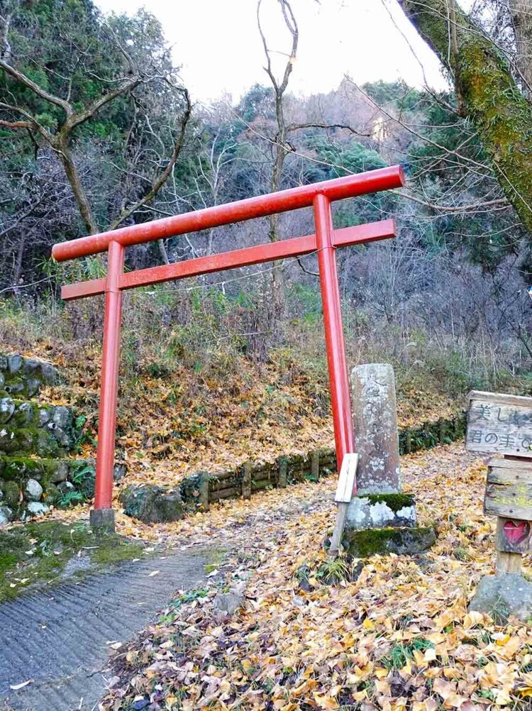 金剛山登山口。ここからの登りはけっこうきつい。