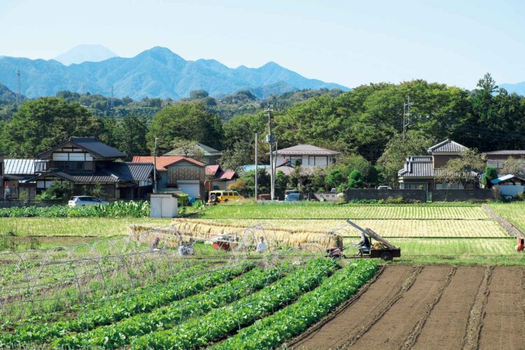 新井バス停から山風呂バス停へ向かう途中の風景。ここは毎日富士山展望の場所。