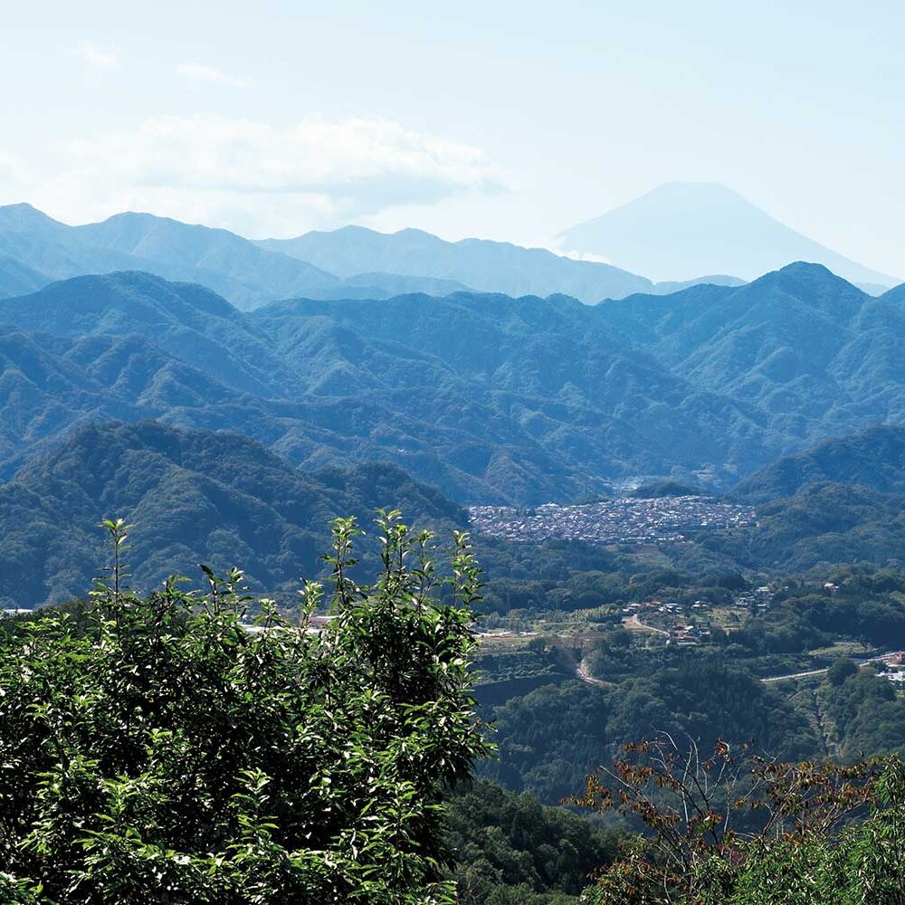 【首都圏日帰り山さんぽ】能岳から八重山～都心から近く、手軽に登れるのに展望はそれこそ抜群