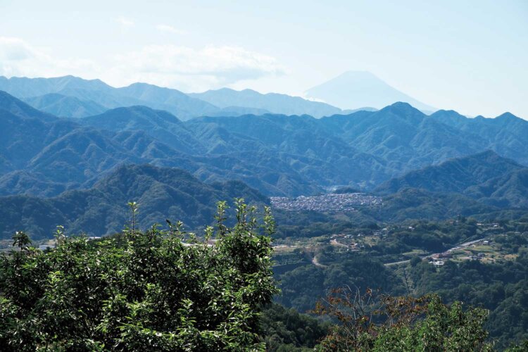 八重山からの展望は素晴らしい。富士山、御坂山塊、丹沢、道志の山々。富士山の右下は倉岳山。