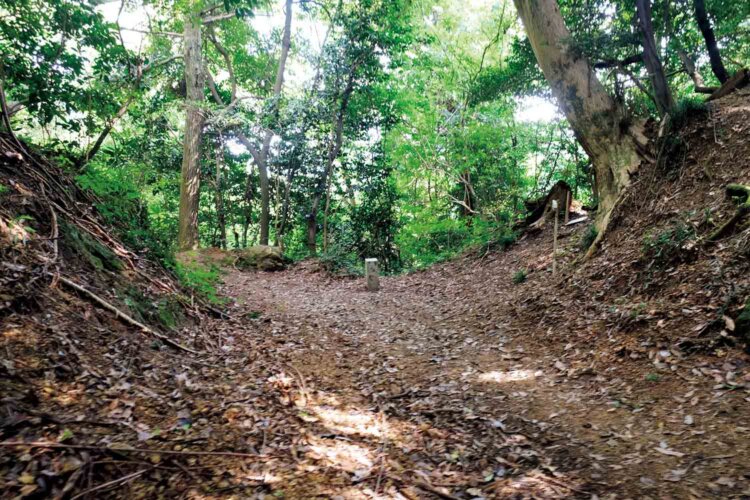 詰城（大天守閣跡）から（城山）八王子城跡の間にある巨大な堀切り。駒冷やしといわれる。