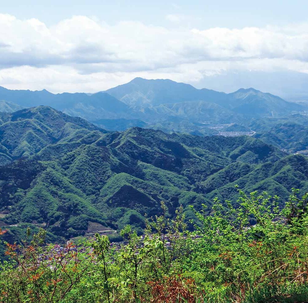 【首都圏日帰り山さんぽ】百蔵山～ヤマツツジの咲く人気の山から三大奇橋の猿橋
