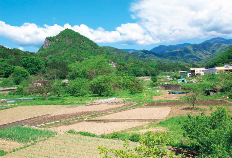 葛野川の遊歩道から大月の岩殿山（左側）が見える。