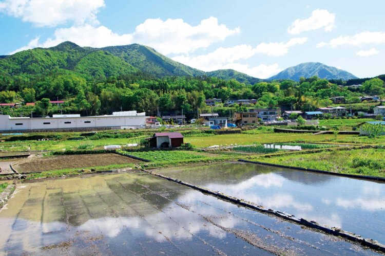 これも葛野川からの景色。左にそびえる山が百蔵山、右奥に見えるのが扇山。縦走もできる。百蔵山山頂から扇山山頂まではおよそ2時間半かかる。