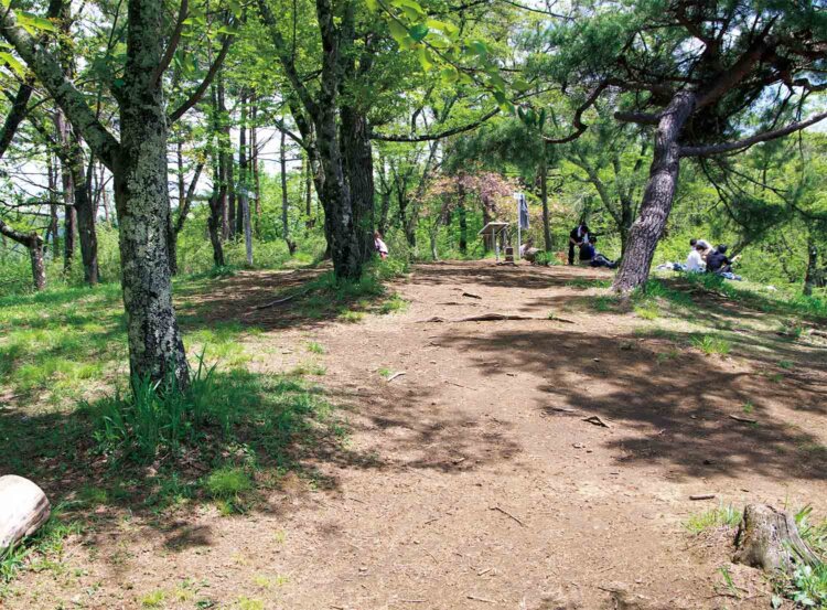 広場のような百蔵山の山頂。