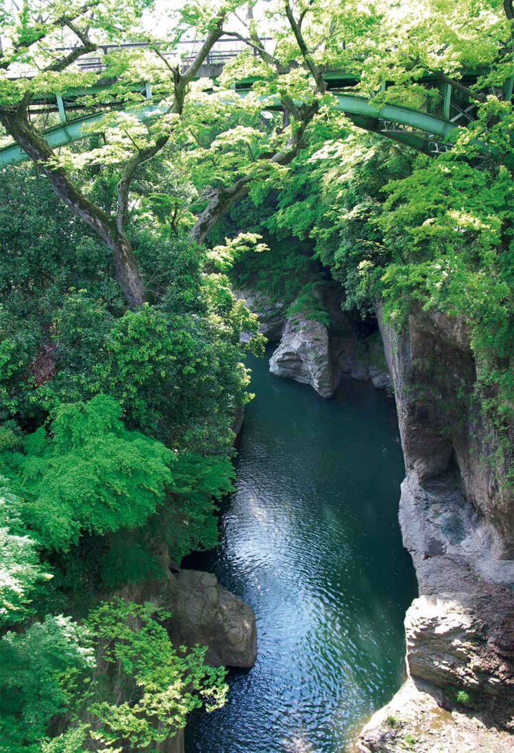 【首都圏日帰り山さんぽ50】百蔵山_10